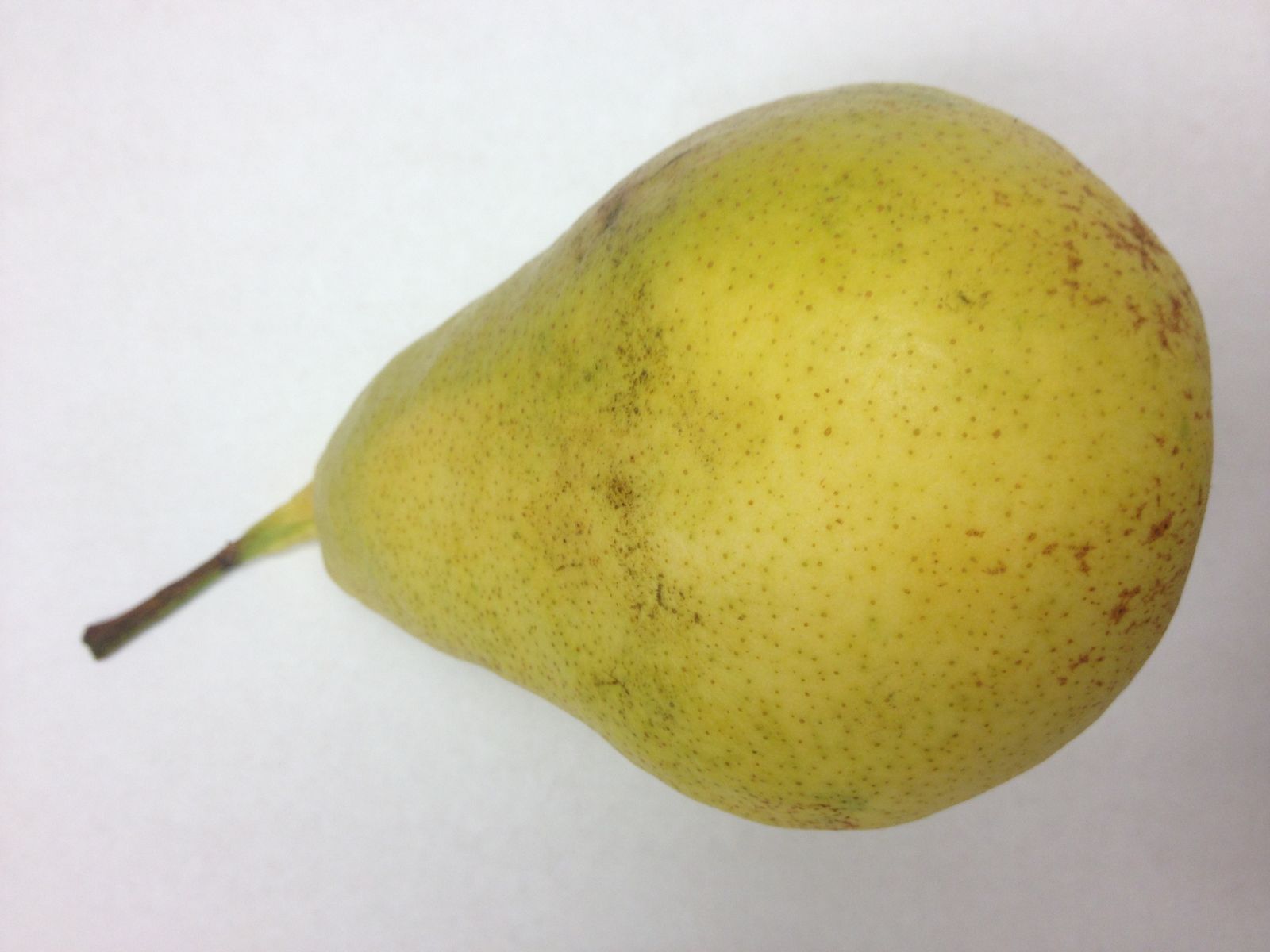 Pear Varieties BC Tree Fruit Production Guide